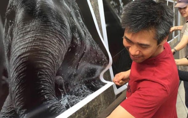 man, holding, poster of elephant