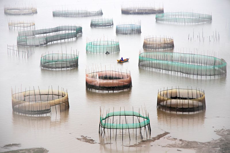 Crab nets, China