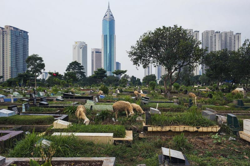 Urban landscape. Central Jakarta, Indonesia